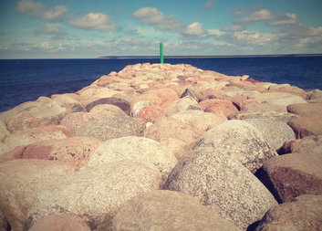 Aenean commodo ligula eget